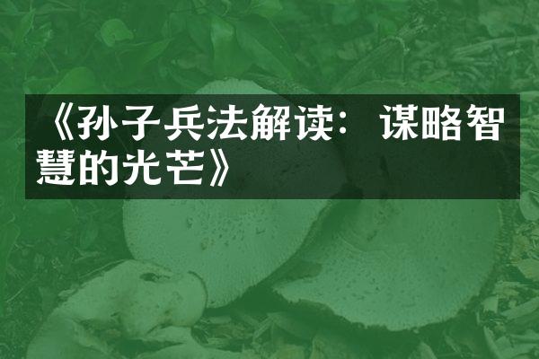 《孙子兵法解读：谋略智慧的光芒》