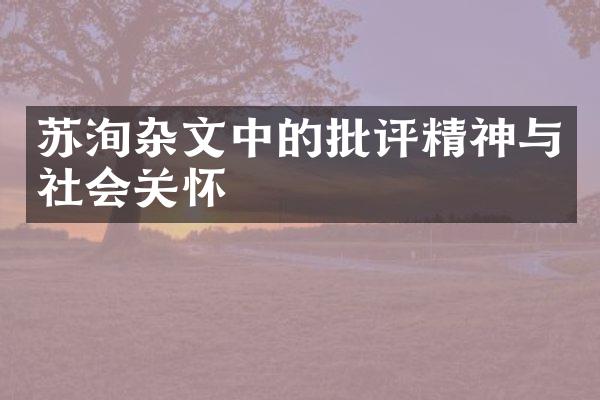苏洵杂文中的批评精神与社会关怀