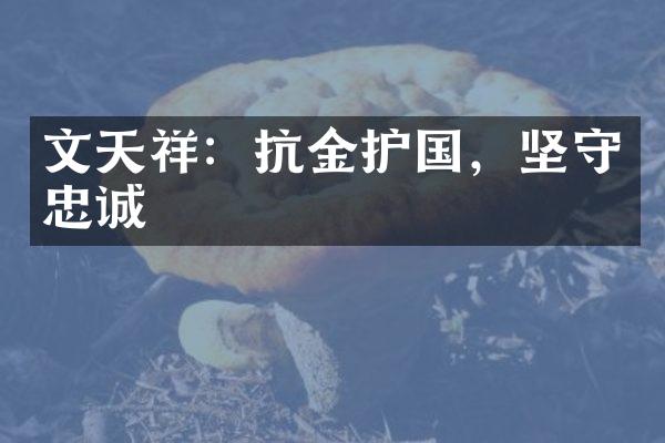 文天祥：抗金护国，坚守忠诚