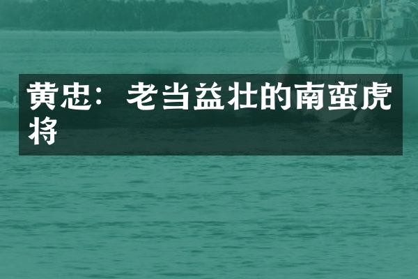 黄忠：老当益壮的南蛮虎将