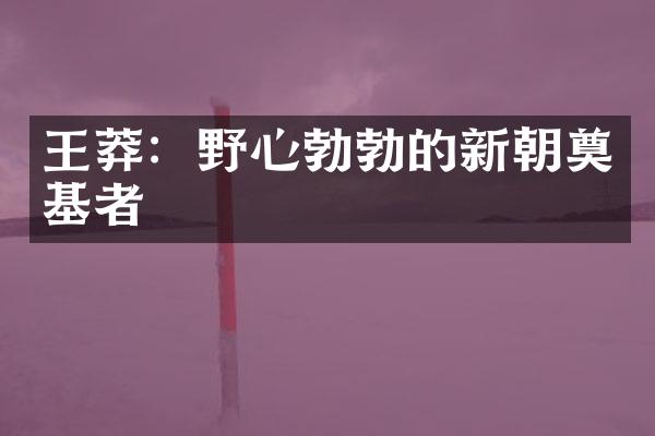 王莽：野心勃勃的新朝奠基者