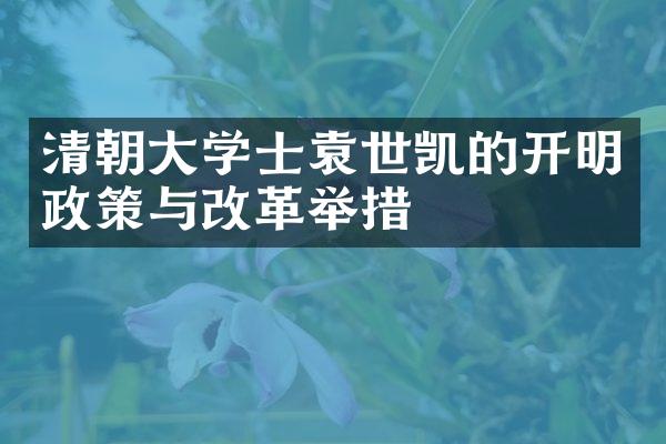 清朝大学士袁世凯的开明政策与改革举措