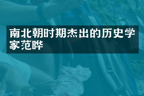 南北朝时期杰出的历史学家范晔