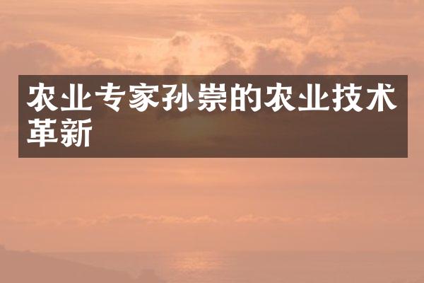 农业专家孙崇的农业技术革新