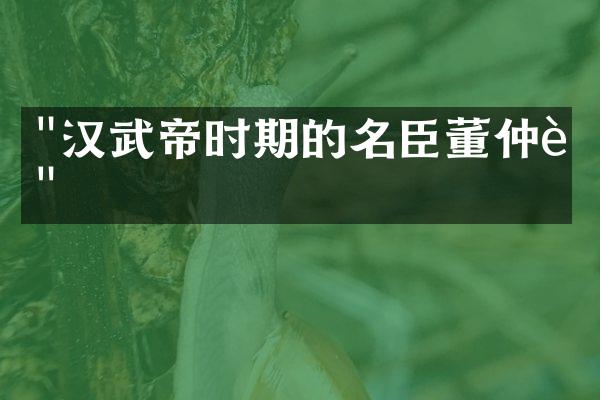 "汉武帝时期的名臣董仲舒"