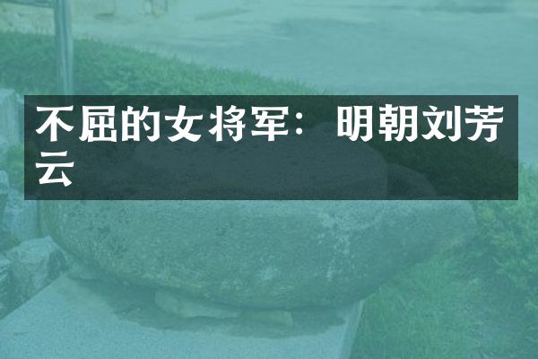 不屈的女将军：明朝刘芳云
