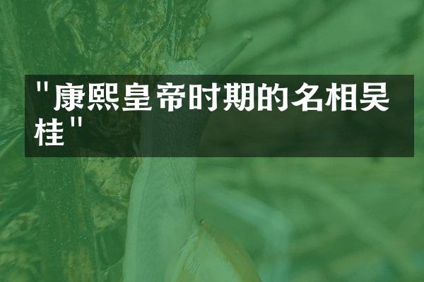 "康熙皇帝时期的名相吴三桂"
