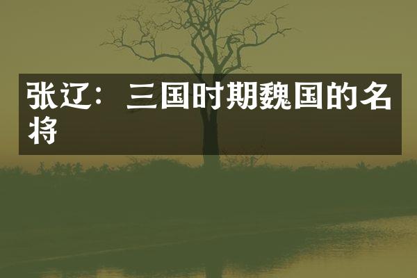张辽：三国时期魏国的名将