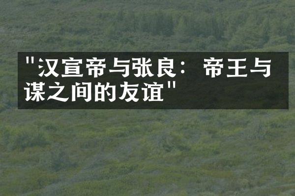 "汉宣帝与张良：帝王与智谋之间的友谊"