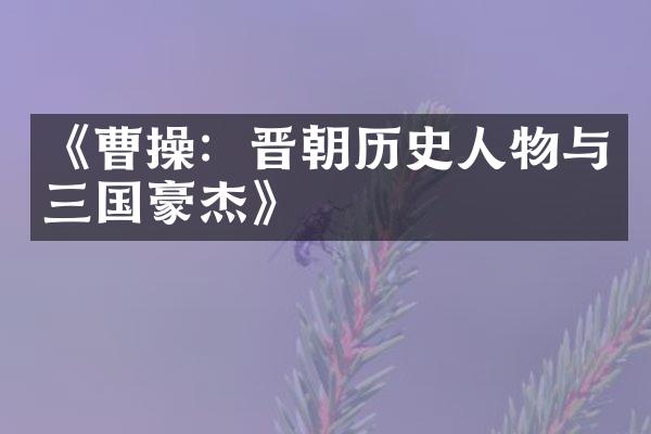 《曹操：晋朝历史人物与三国豪杰》
