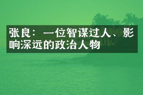 张良：一位智谋过人、影响深远的政治人物