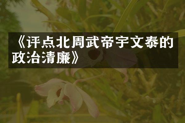 《评点北周武帝宇文泰的政治清廉》