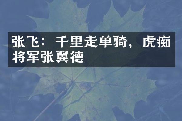 张飞：千里走单骑，虎痴将军张翼德