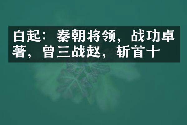 白起：秦朝将领，战功卓著，曾三战赵，斩首十万