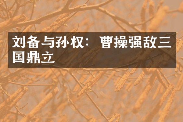 刘备与孙权：曹操强敌三国鼎立