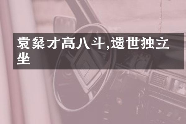袁粲才高八斗,遗世独立枯坐