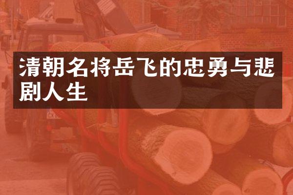 清朝名将岳飞的忠勇与悲剧人生