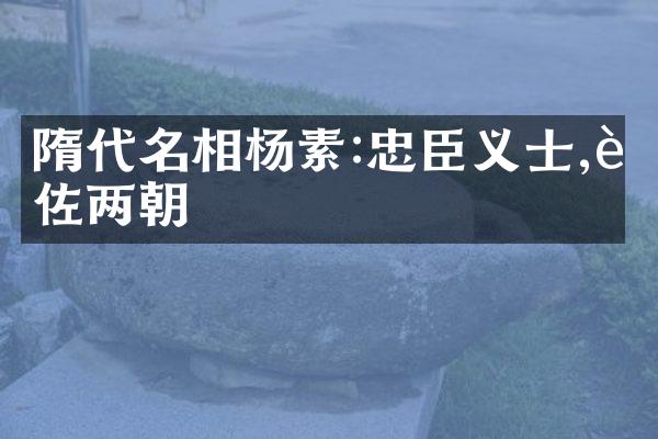 隋代名相杨素:忠臣义士,辅佐两朝