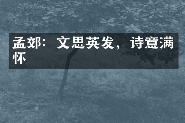 孟郊：文思英发，诗意满怀