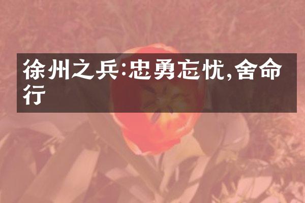 徐州之兵:忠勇忘忧,舍命前行