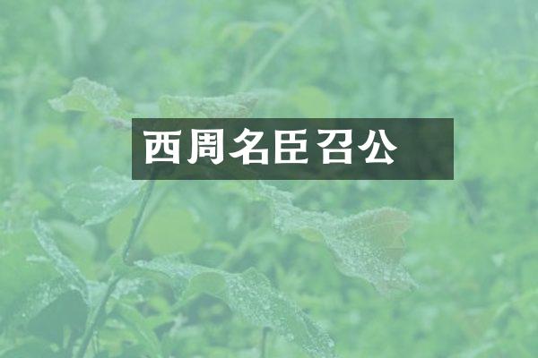 西周名臣召公奭