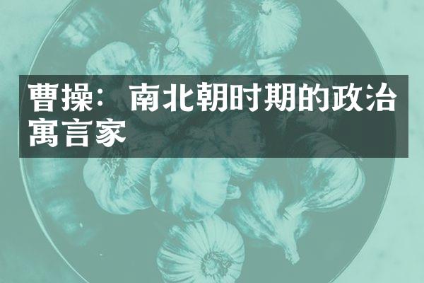 曹操：南北朝时期的政治寓言家