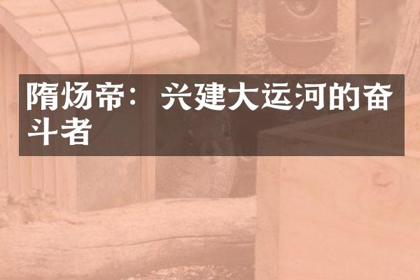 隋炀帝：兴建大运河的奋斗者