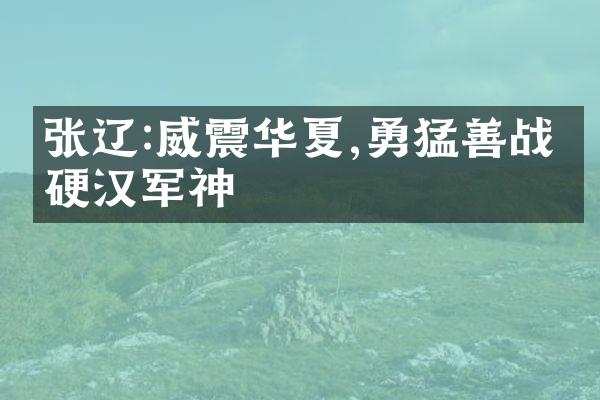 张辽:威震华夏,勇猛善战的硬汉军神