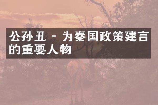 公孙丑 - 为秦国政策建言的重要人物