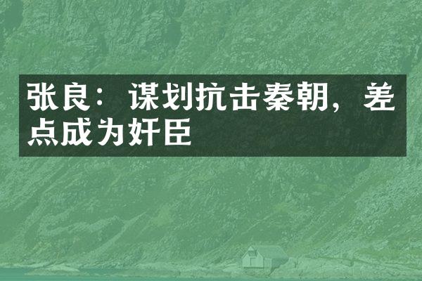 张良：谋划抗击秦朝，差点成为奸臣