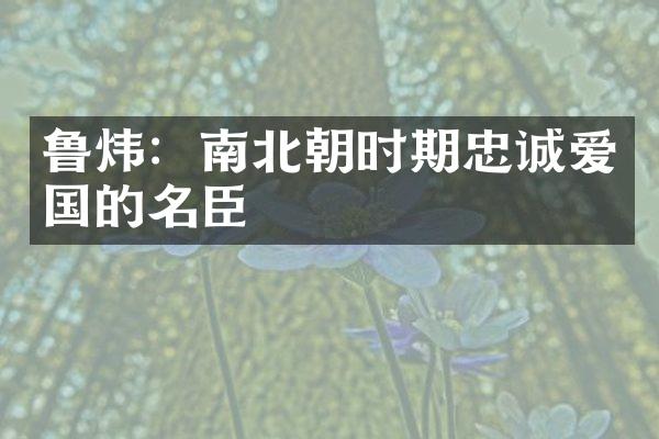 鲁炜：南北朝时期忠诚爱国的名臣