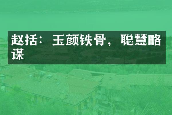 赵括：玉颜铁骨，聪慧略谋