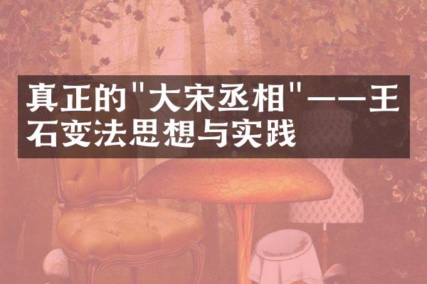 真正的"大宋丞相"&mdash;&mdash;王安石变法思想与实践