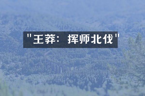 "王莽：挥师北伐"
