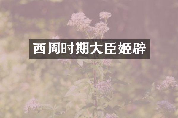 西周时期大臣姬辟
