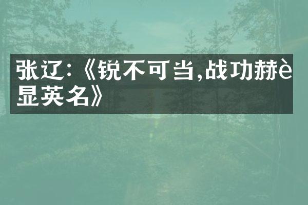 张辽:《锐不可当,战功赫赫显英名》