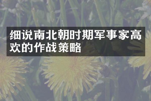细说南北朝时期军事家高欢的作战策略