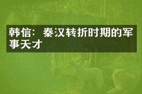 韩信：秦汉转折时期的军事天才