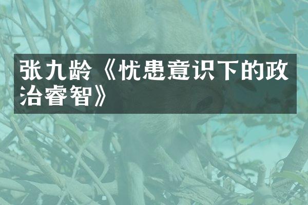张九龄《忧患意识下的政治睿智》