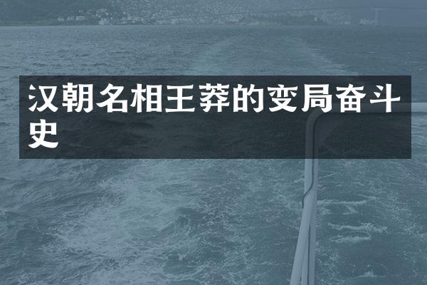汉朝名相王莽的变局奋斗史