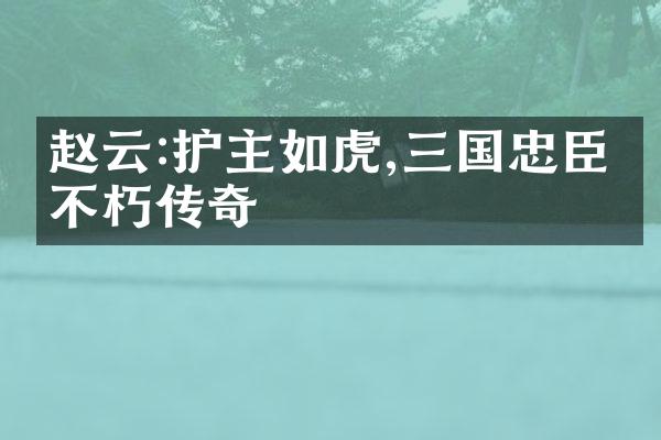 赵云:护主如虎,三国忠臣的不朽传奇