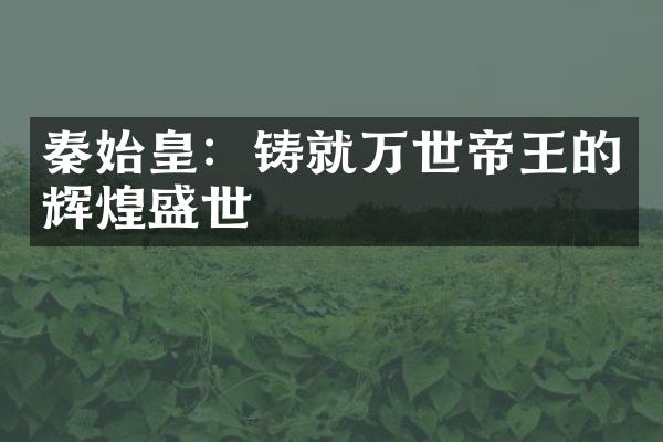 秦始皇：铸就万世帝王的辉煌盛世