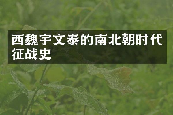 西魏宇文泰的南北朝时代征战史
