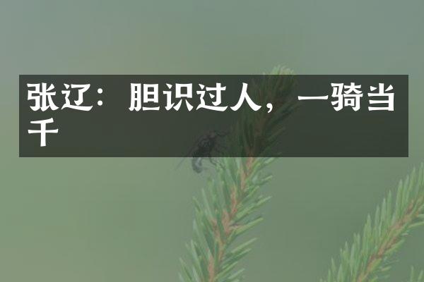 张辽：胆识过人，一骑当千