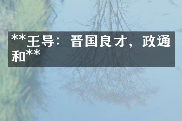 **王导：晋国良才，政通人和**