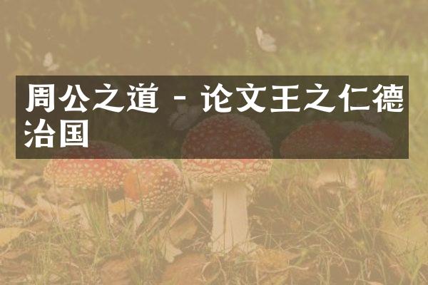 周公之道 - 论文王之仁德治国