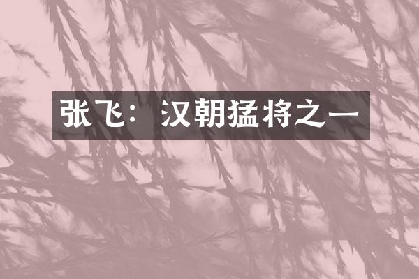 张飞：汉朝猛将之一