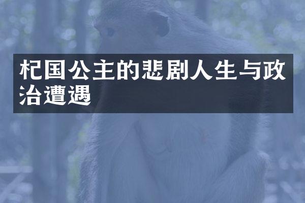 杞国公主的悲剧人生与政治遭遇