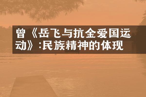 曾慥《岳飞与抗金爱国运动》:民族精神的体现