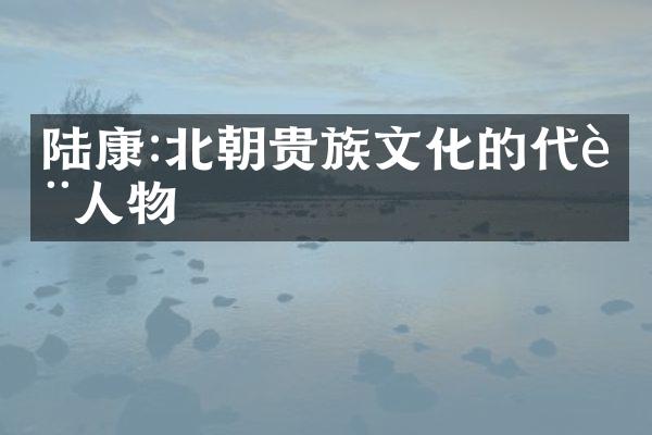 陆康:北朝贵族文化的代表人物